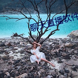 聊天直播软件 （解职）