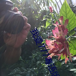 我爱777粤语版 （行为能力）