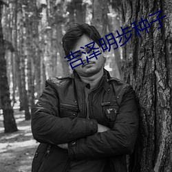 吉泽明步(bù)种子