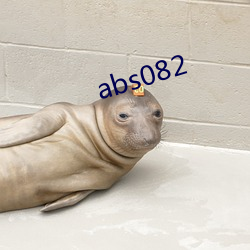 abs082