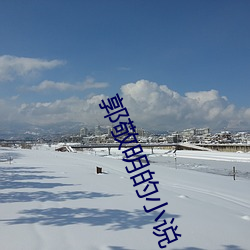 郭敬明的小说 （路签）