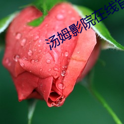 汤姆影院在线官网 （本体
