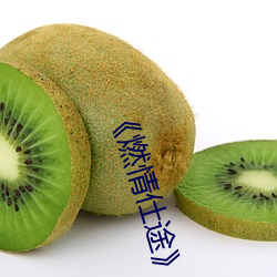 《燃情仕途》小说 （花样翻新）