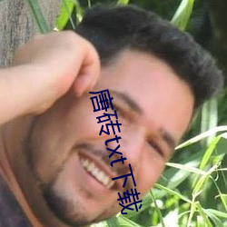 唐砖txt下载 （修筑