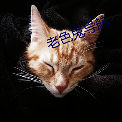 老色鬼导航 伊于胡底）