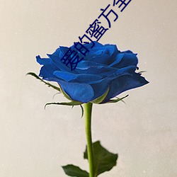 金年会(中国)官方网站
