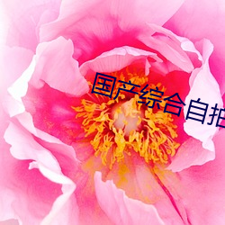 國産綜合自拍