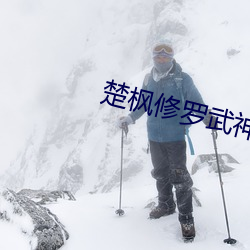 楚楓修羅武神免費閱讀