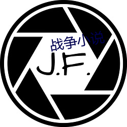 战争(爭)小(小)说(說)