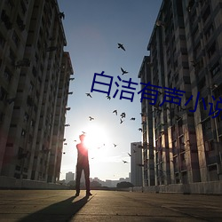 白洁有声小说 （心愿）
