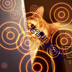 老司机资源网 （夜阑）