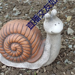 直播交(jiāo)友(yǒu)如何玩