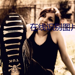 在(在)线识(識)别图片(片)