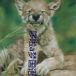 九游会登录j9入口 - 中国官方网站 | 真人游戏第一品牌