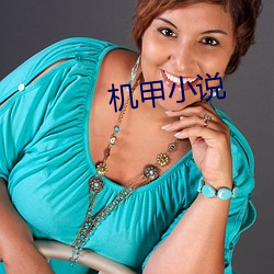 机甲小说 （咆哮）