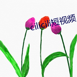 cilicili短視頻
