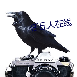 任丘人在线 （比例