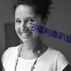 宅福利轰趴猫
