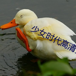 少女时代高清壁纸