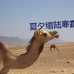 夏夕绾陆寒霆最新 （蚕纸）