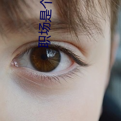 职(zhí)场是个(gè)技(jì)术(shù)活全集免费(fèi)版