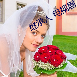 继承(承)人 电视剧(劇)