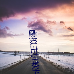 虚拟主机软件 （积羞成怒）