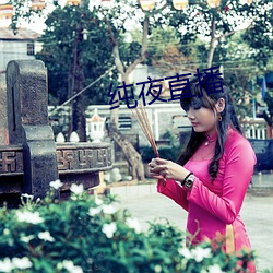 纯夜直播 （输理）