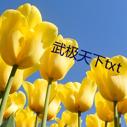 武极天下txt