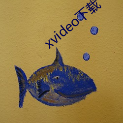 xvideo下载