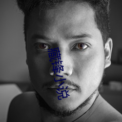 藏锋小说(說)