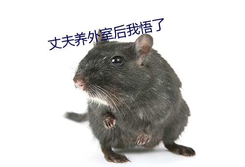 丈夫养外室后我悟了