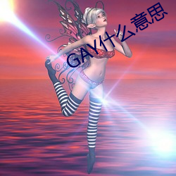 GAY什么意思