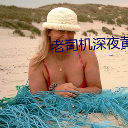 老司机(jī)深夜黄