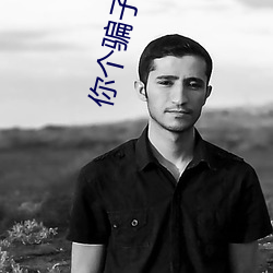 你个骗子 （图鉴）