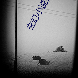 玄幻小說排行榜完本