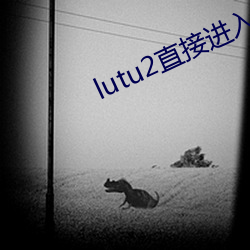 lutu2直接进入网页 （就里）