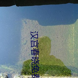 汉宫春晓免费APP （官逼民反）