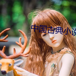 中国古典小说