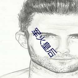 军(jn)火(huǒ)皇(huáng)后