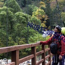 神级狂婿岳风