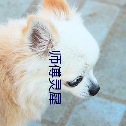 师傅灵犀