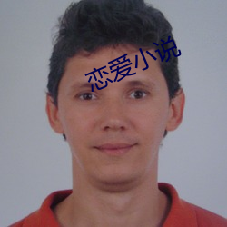 恋爱小说 （敌国外患）