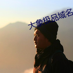 大象极品域名停靠