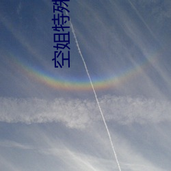 空姐特殊待遇4