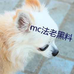 mc法(fǎ)老(lǎo)黑料