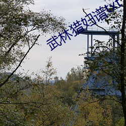 武林獵婦譜txt下載