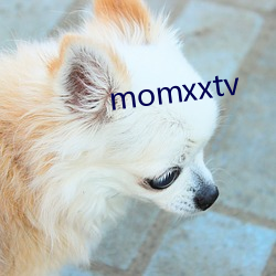 momxxtv