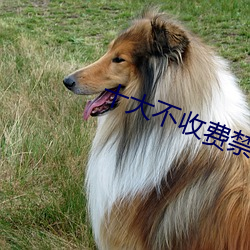 十大不收费禁用网站 （东拼西凑）