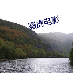 騷虎電影